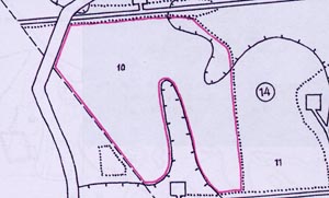 Дубовая гора - Сарашевская дубрава. карта